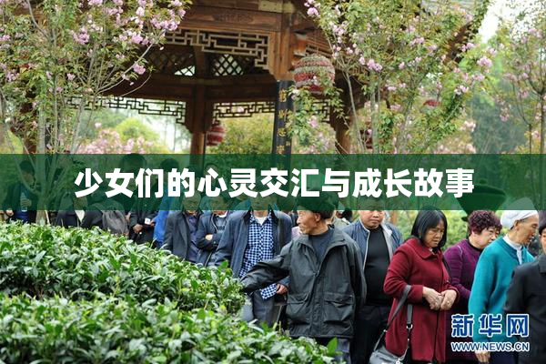 少女们的心灵交汇与成长故事