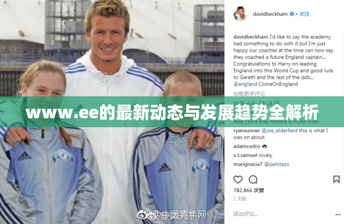 www.ee的最新动态与发展趋势全解析