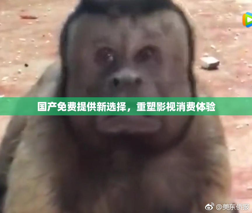 国产免费提供新选择，重塑影视消费体验