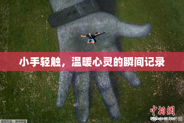 小手轻触，温暖心灵的瞬间记录
