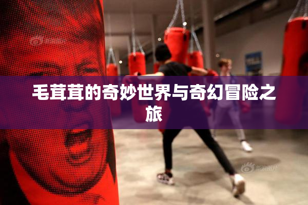 毛茸茸的奇妙世界与奇幻冒险之旅