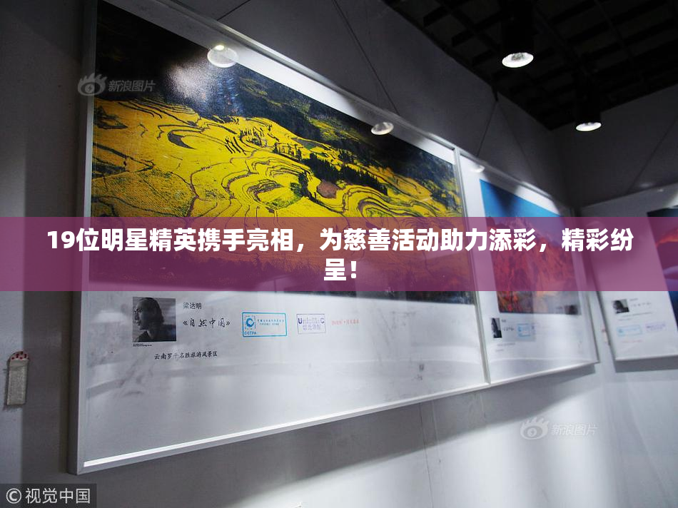 19位明星精英携手亮相，为慈善活动助力添彩，精彩纷呈！