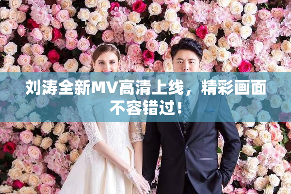 刘涛全新MV高清上线，精彩画面不容错过！