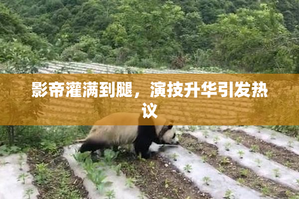 影帝灌满到腿，演技升华引发热议