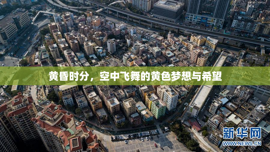 黄昏时分，空中飞舞的黄色梦想与希望