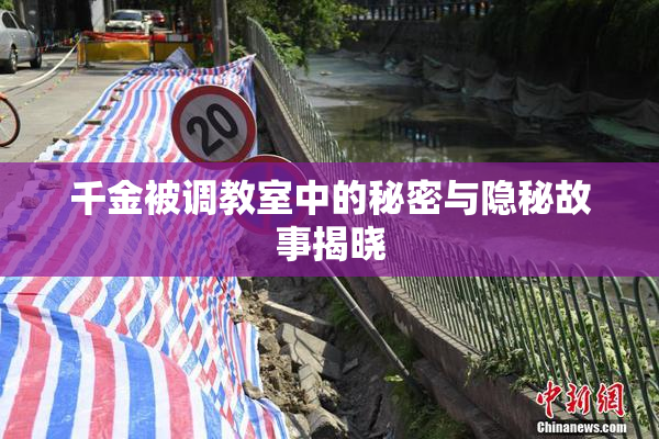 千金被调教室中的秘密与隐秘故事揭晓