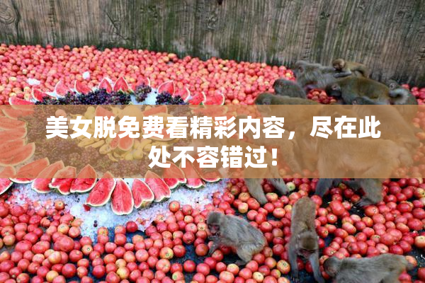 美女脱免费看精彩内容，尽在此处不容错过！