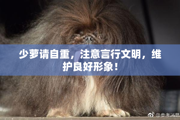 少萝请自重，注意言行文明，维护良好形象！