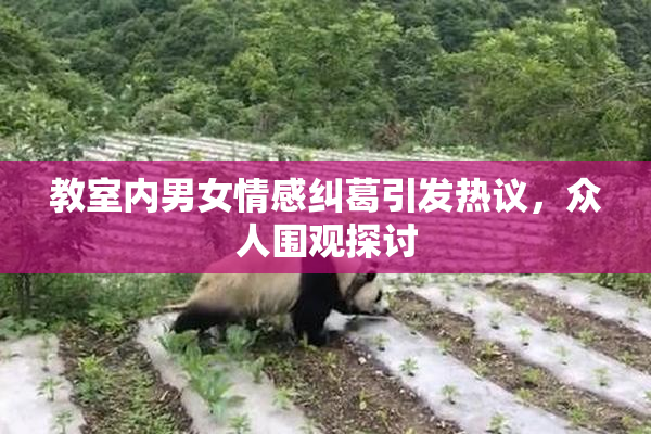 教室内男女情感纠葛引发热议，众人围观探讨