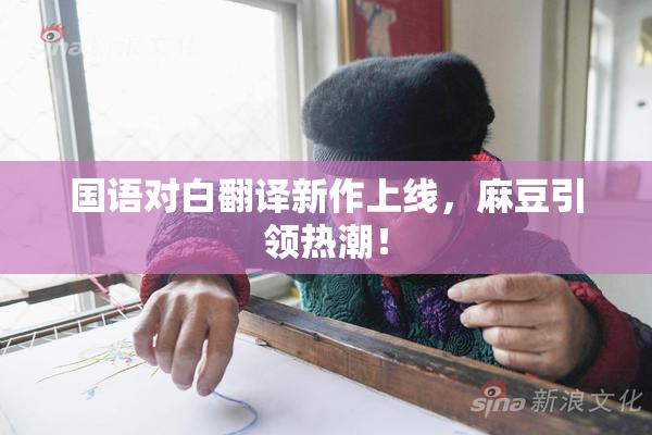 国语对白翻译新作上线，麻豆引领热潮！