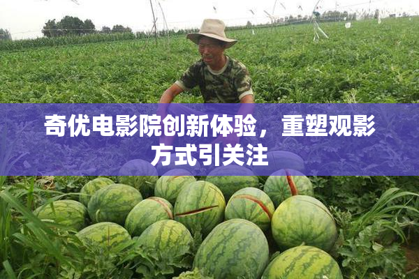 奇优电影院创新体验，重塑观影方式引关注