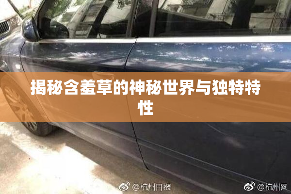揭秘含羞草的神秘世界与独特特性