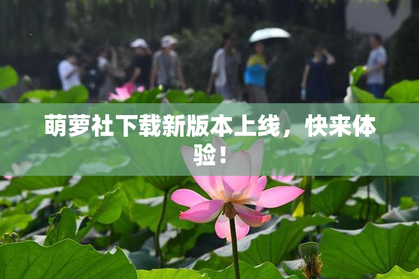 萌萝社下载新版本上线，快来体验！