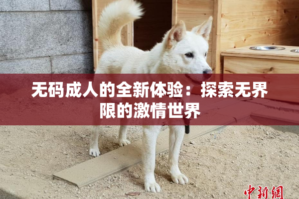 无码成人的全新体验：探索无界限的激情世界