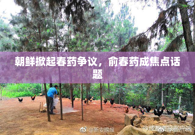 朝鲜掀起春药争议，俞春药成焦点话题