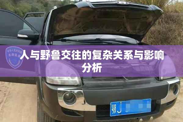 人与野鲁交往的复杂关系与影响分析