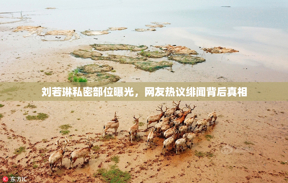 刘若琳私密部位曝光，网友热议绯闻背后真相