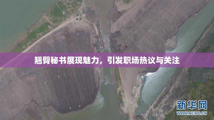 翘臀秘书展现魅力，引发职场热议与关注