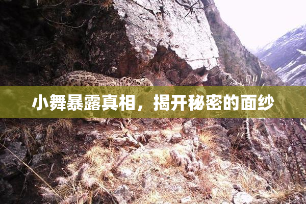 小舞暴露真相，揭开秘密的面纱