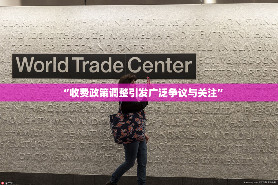 “收费政策调整引发广泛争议与关注”