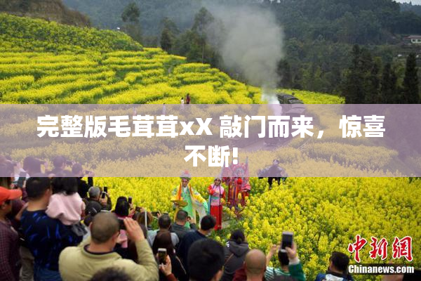 完整版毛茸茸xX 敲门而来，惊喜不断!