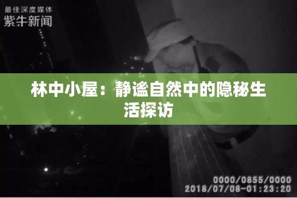 林中小屋：静谧自然中的隐秘生活探访