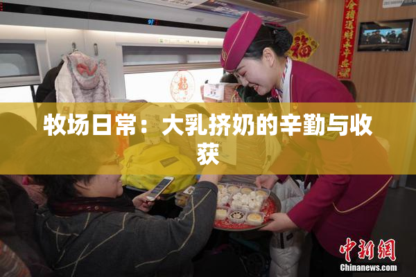 牧场日常：大乳挤奶的辛勤与收获