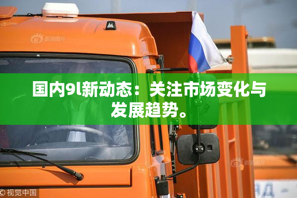 国内9l新动态：关注市场变化与发展趋势。