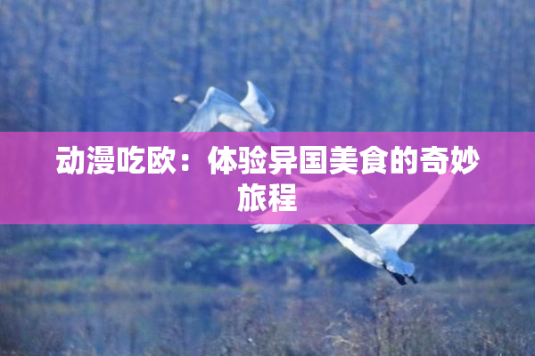 动漫吃欧：体验异国美食的奇妙旅程