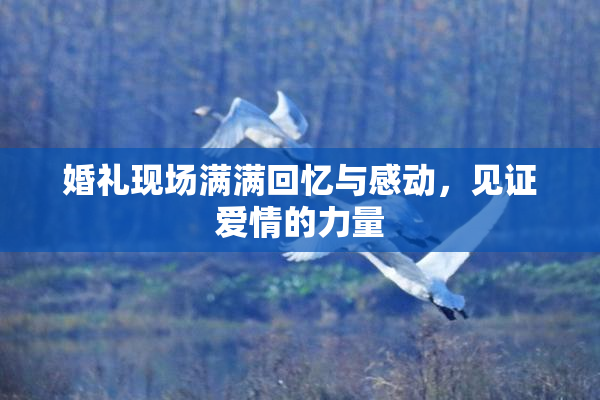婚礼现场满满回忆与感动，见证爱情的力量
