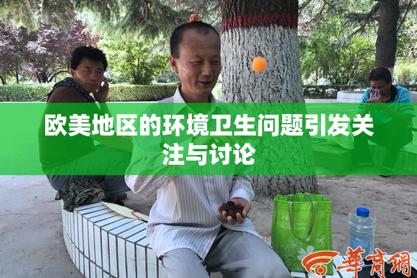 欧美地区的环境卫生问题引发关注与讨论