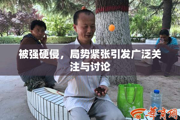 被强硬侵，局势紧张引发广泛关注与讨论