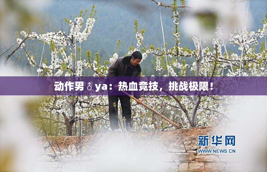动作男♂ya：热血竞技，挑战极限！