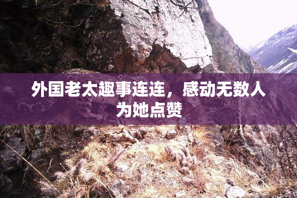 外国老太趣事连连，感动无数人为她点赞