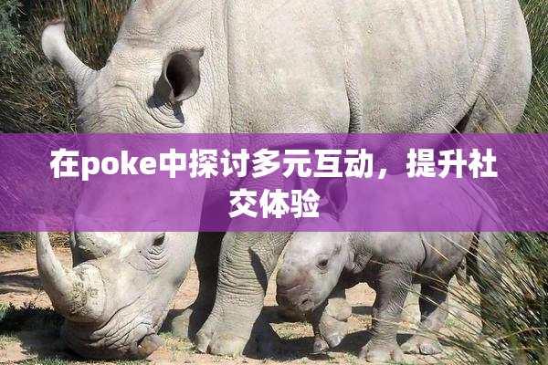 在poke中探讨多元互动，提升社交体验