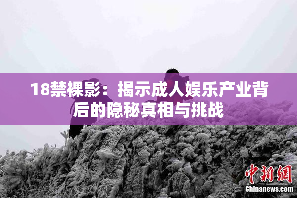 18禁裸影：揭示成人娱乐产业背后的隐秘真相与挑战