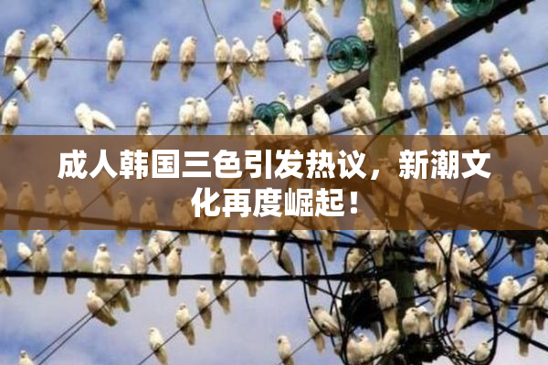 成人韩国三色引发热议，新潮文化再度崛起！