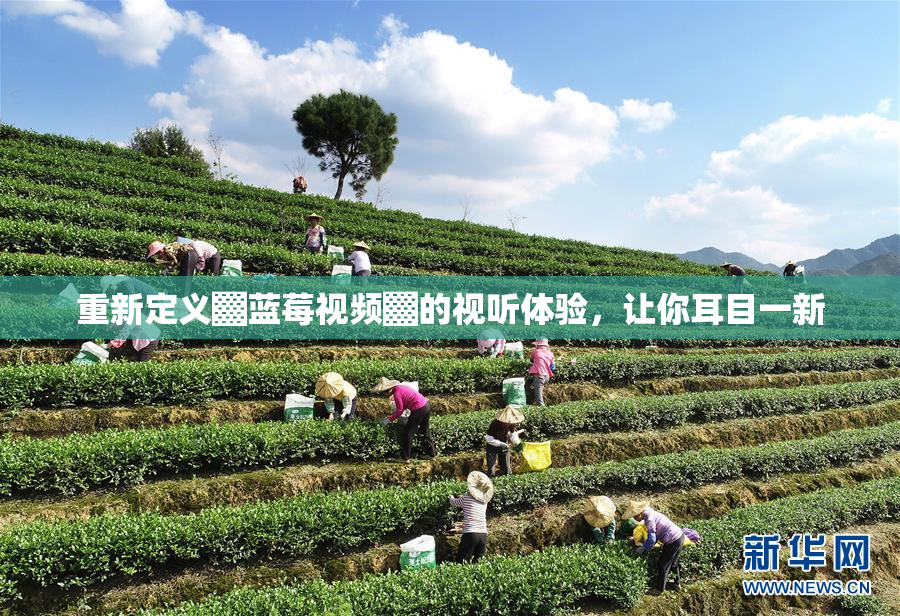 重新定义▓蓝莓视频▓的视听体验，让你耳目一新