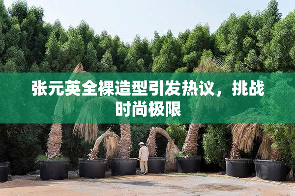 张元英全裸造型引发热议，挑战时尚极限