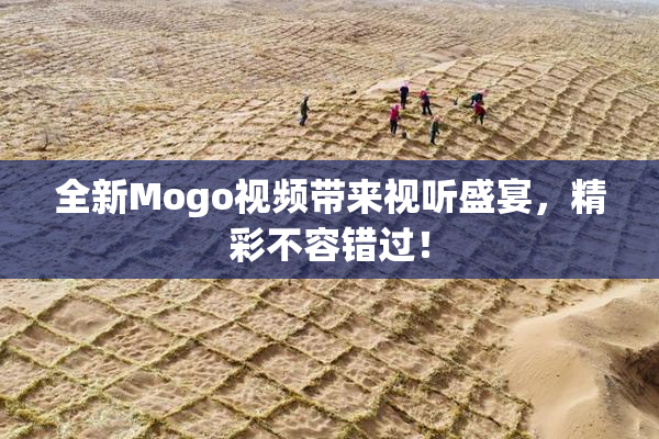 全新Mogo视频带来视听盛宴，精彩不容错过！