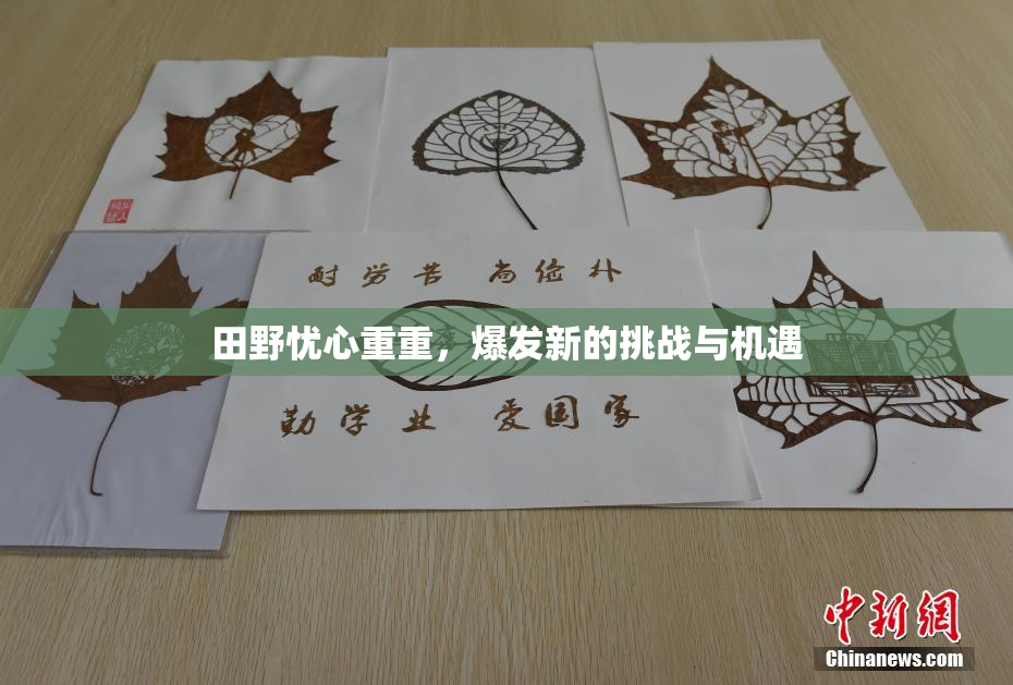 田野忧心重重，爆发新的挑战与机遇