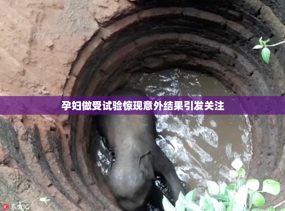 孕妇做受试验惊现意外结果引发关注