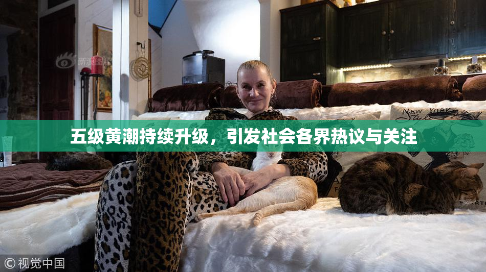 五级黄潮持续升级，引发社会各界热议与关注