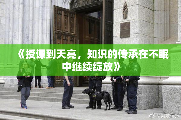 《授课到天亮，知识的传承在不眠中继续绽放》
