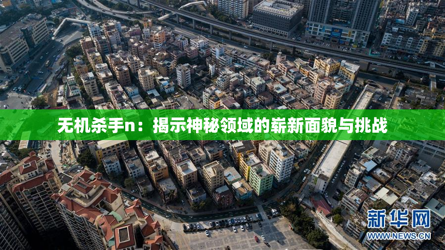 无机杀手n：揭示神秘领域的崭新面貌与挑战
