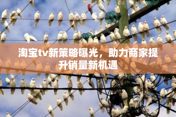 淘宝tv新策略曝光，助力商家提升销量新机遇