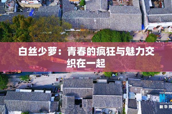白丝少萝：青春的疯狂与魅力交织在一起