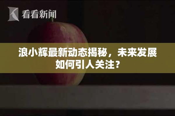 浪小辉最新动态揭秘，未来发展如何引人关注？