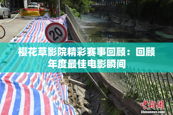 樱花草影院精彩赛事回顾：回顾年度最佳电影瞬间