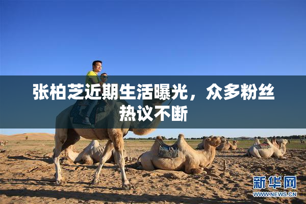 张柏芝近期生活曝光，众多粉丝热议不断